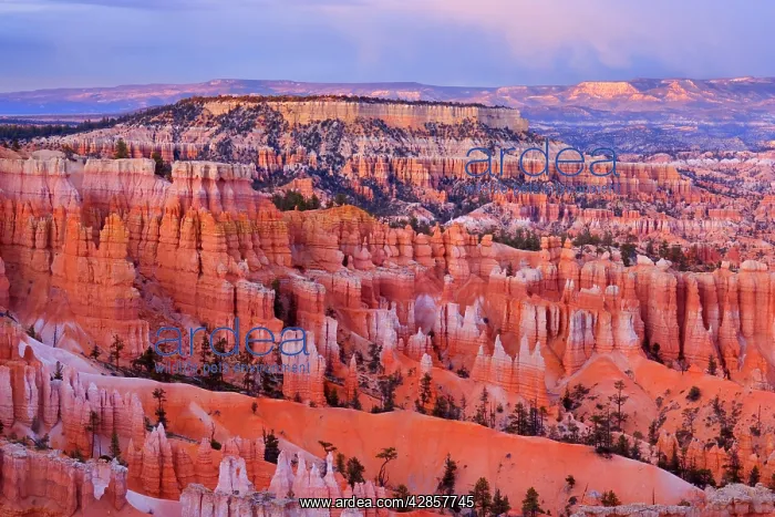 : Storm over Bryce Canyon - view from Sunset Point : Storm over Bryce Canyon - view from Sunset Point