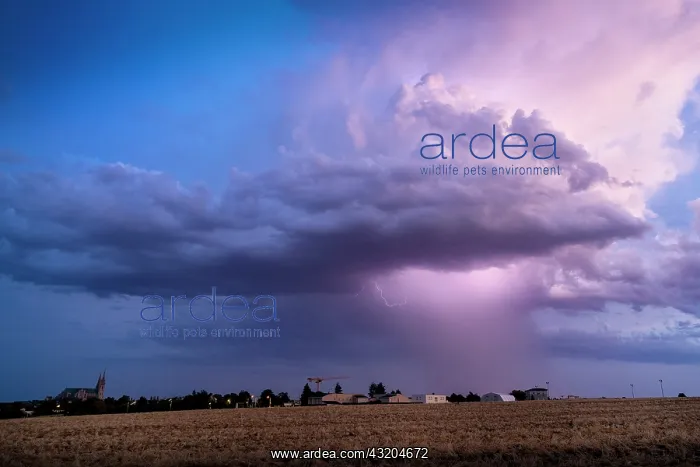 : Storm over Chartres. Heat storm over the Chartres : Storm over Chartres. Heat storm over the Chartres