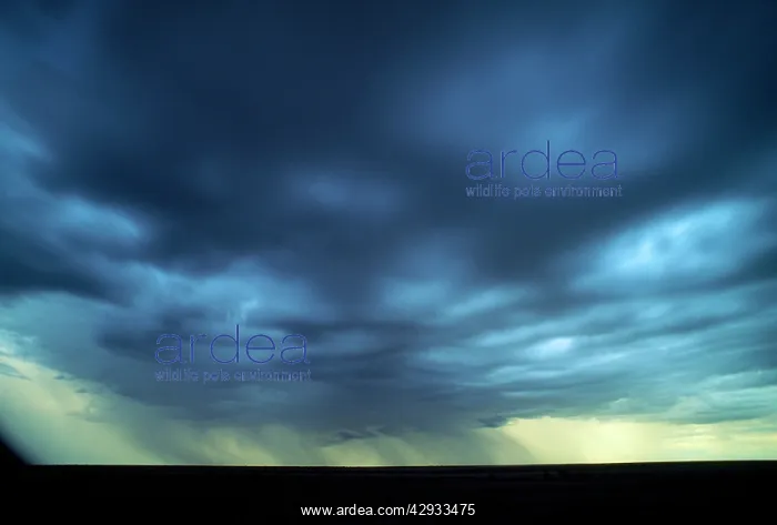 : Storm Clouds : Storm Clouds
