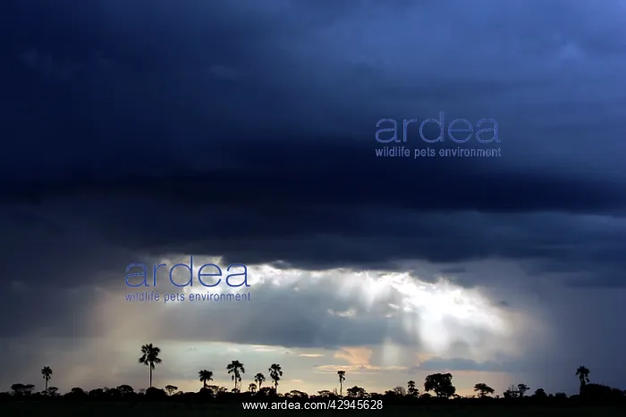 : Storm Clouds : Storm Clouds
