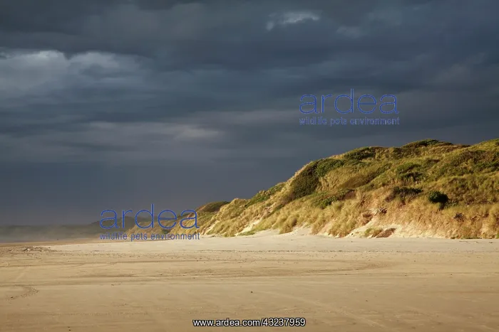 : Storm Clouds Approaching Ocean Beach, Strahan : Storm Clouds Approaching Ocean Beach, Strahan