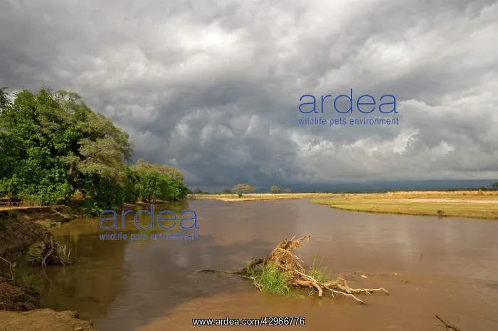 : Storm clouds brewing over Zambesi Valley : Storm clouds brewing over Zambesi Valley