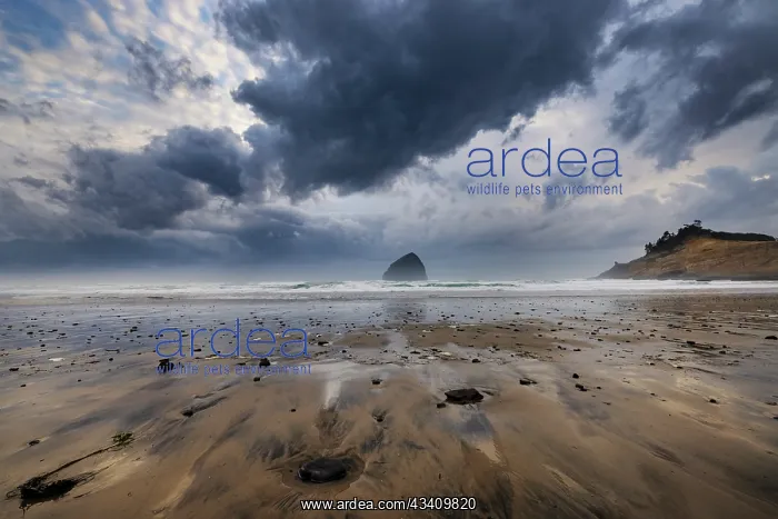 : Storm clouds at low tide on beach at Cape Kiwanda : Storm clouds at low tide on beach at Cape Kiwanda