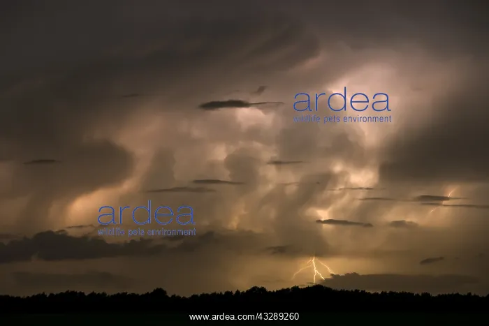 : Storm clouds in the night lit up by lightning : Storm clouds in the night lit up by lightning