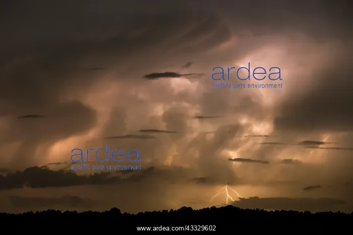 : Storm clouds in the night lit up by lightning : Storm clouds in the night lit up by lightning