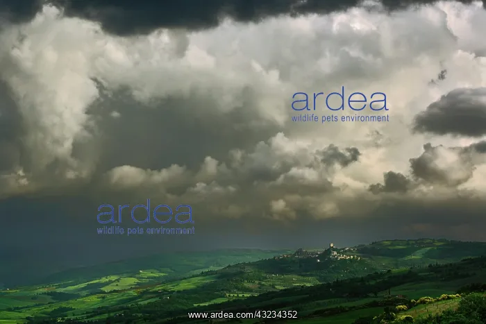 : Storm clouds over Pienza, Italy, Tuscany : Storm clouds over Pienza, Italy, Tuscany