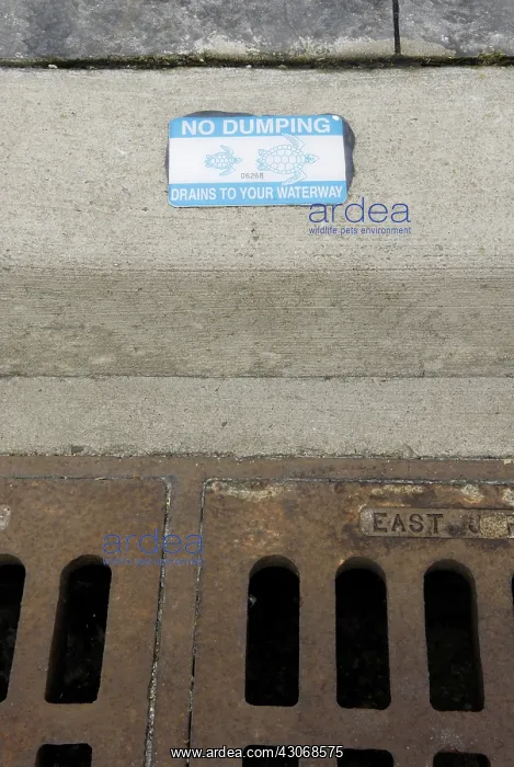 : Storm Drain Warning : Storm Drain Warning