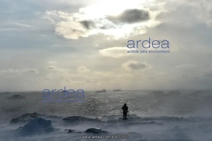 : a storm drove all the fast ice attached to the coast : a storm drove all the fast ice attached to the coast