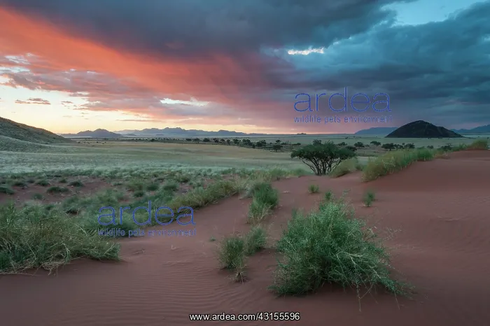 : Storm over Excelsior Farm, Namibia at sunset, Namibia : Storm over Excelsior Farm, Namibia at sunset, Namibia