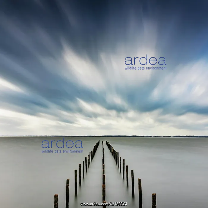 : Storm at Lake Dammer, jetty, weather, clouds, expanse : Storm at Lake Dammer, jetty, weather, clouds, expanse