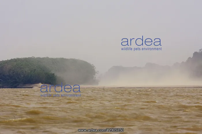 : Storm - on the Madre de Dios River : Storm - on the Madre de Dios River