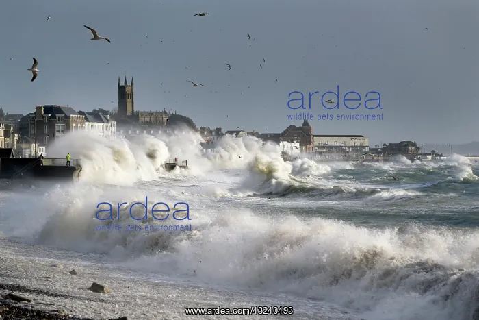  : Storm in Penzance - Cornwall - UK
