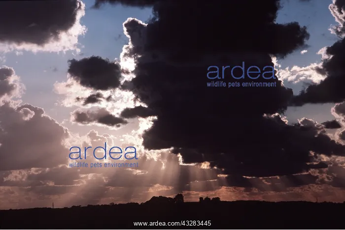 : STORM / RAIN CLOUD FORMATIONS : STORM / RAIN CLOUD FORMATIONS