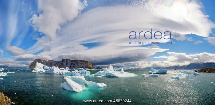  : Storm over Storoen Island. Landscape in the Uummannaq Fjord