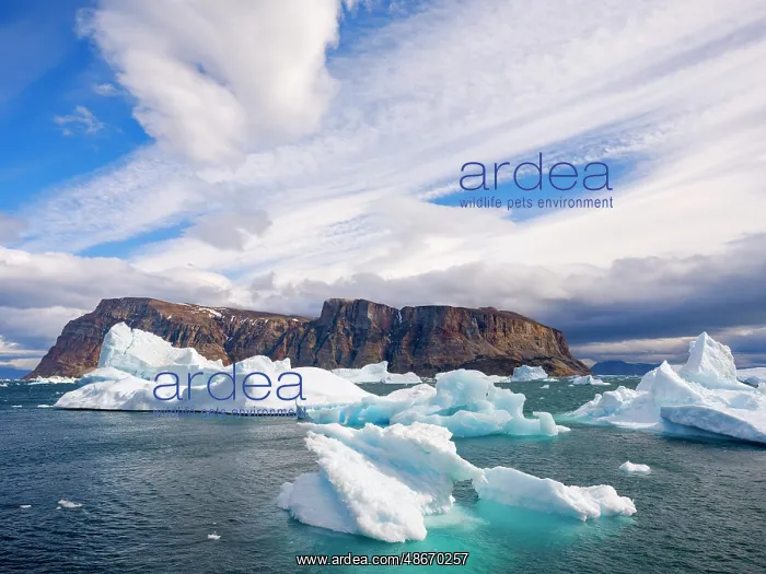 : Storm over Storoen Island. Landscape in the Uummannaq Fjord : Storm over Storoen Island. Landscape in the Uummannaq Fjord