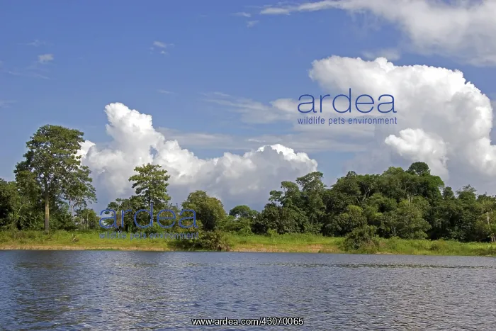 : Stormclouds Over the Arasa Riverbank : Stormclouds Over the Arasa Riverbank