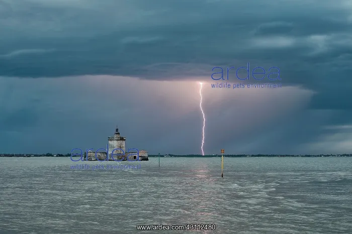 : Many storms have succeeded on the night of 7 to : Many storms have succeeded on the night of 7 to