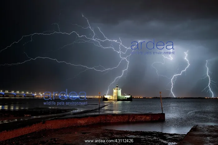 : Many storms have succeeded on the night of May 4 : Many storms have succeeded on the night of May 4