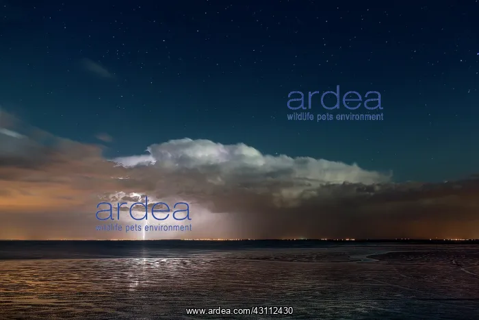 : Many storms have succeeded on the night of May 4 : Many storms have succeeded on the night of May 4