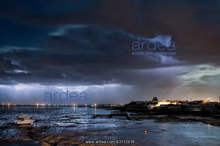 : Many storms have succeeded on the night of May 4 : Many storms have succeeded on the night of May 4