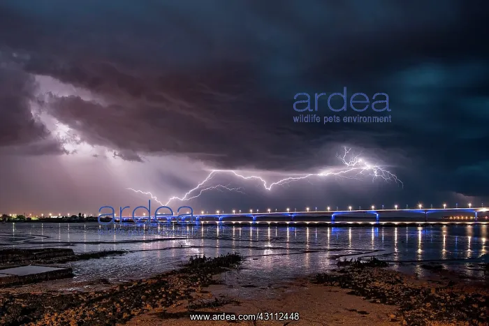 : Many storms have succeeded on the night of May 4 : Many storms have succeeded on the night of May 4