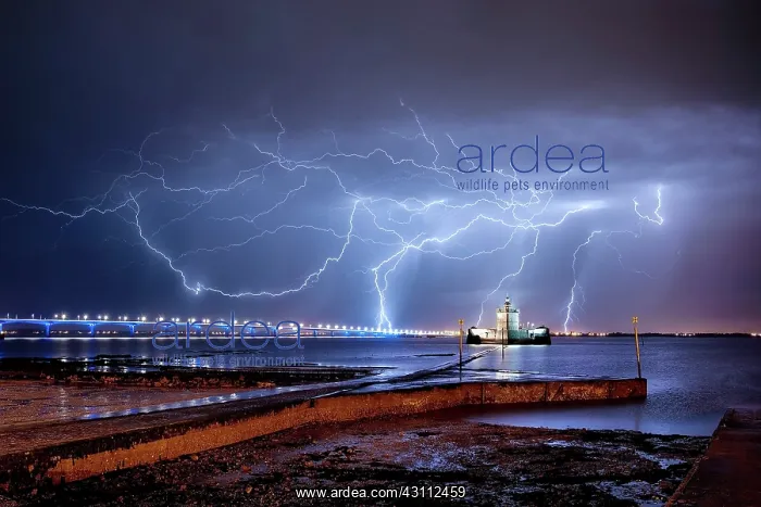: Many storms have succeeded on the night of May 4 : Many storms have succeeded on the night of May 4