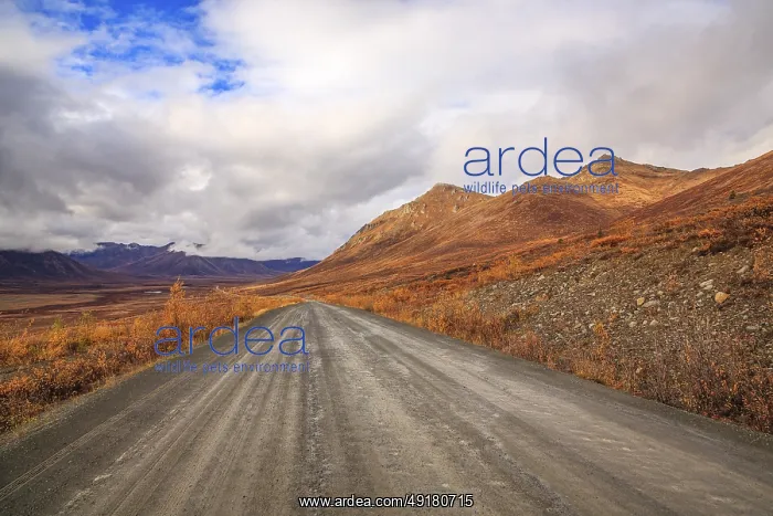  : A stormy autumn day on the Dempster Highway in the Yukon Territory