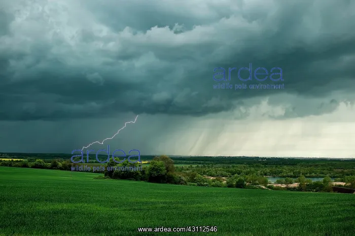  : Stormy degradation in the Morvan 26 April 2015