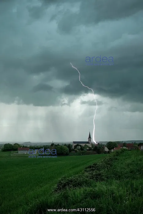 : Stormy degradation in the Morvan 26 April 2015 : Stormy degradation in the Morvan 26 April 2015