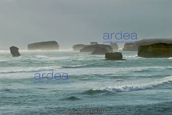 : Stormy ocean - Otway : Stormy ocean - Otway