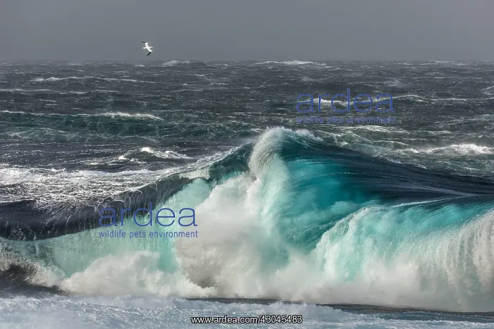 : Stormy Sea - Fair Isle - UK : Stormy Sea - Fair Isle - UK