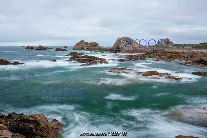 : Stormy sea with rocks, Saint-Guirec, Brittany, France : Stormy sea with rocks, Saint-Guirec, Brittany, France