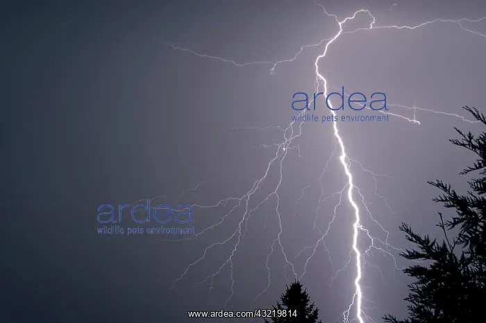  : Stormy sky with lightning, thunderstorm, Rhein-Main