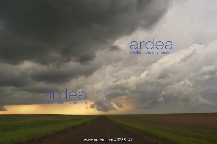  : Stormy sky at sunset over South Dakota. USA