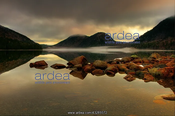 : A stormy sunrise at Jordon Pond in Acadia Natio : A stormy sunrise at Jordon Pond in Acadia Natio