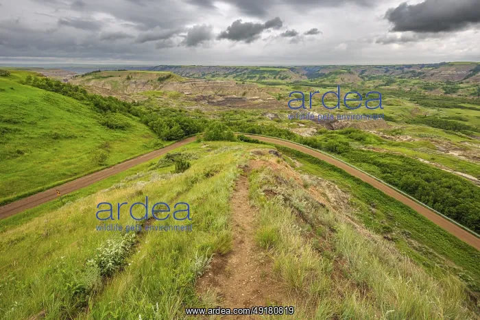 : Stormy weather over the badlands of the Red Deer River valley near the Dry Island Buffalo Jump in southern Alberta : Stormy weather over the badlands of the Red Deer River valley near the Dry Island Buffalo Jump in southern Alberta