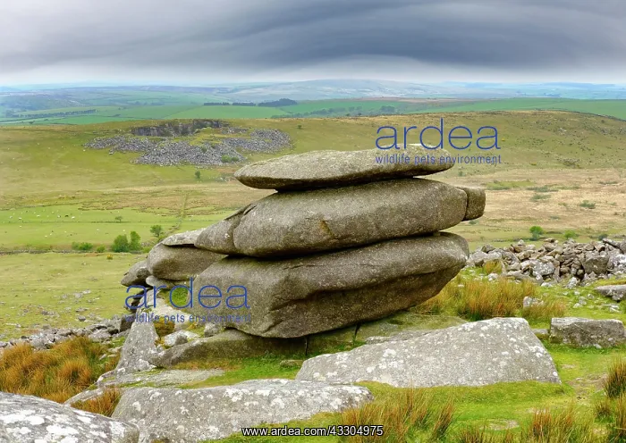  : Stowes Hill, at Linkinhorne, Bodmin Moor, Cornwall