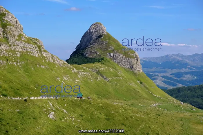  : Stozina Mountain, Lomnido Hut, P14 Pass Road in
