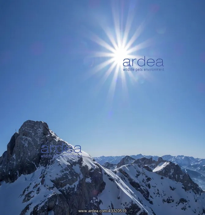 : Strahlende Sonne und blauer Himmel uber Winterlandschaft : Strahlende Sonne und blauer Himmel uber Winterlandschaft