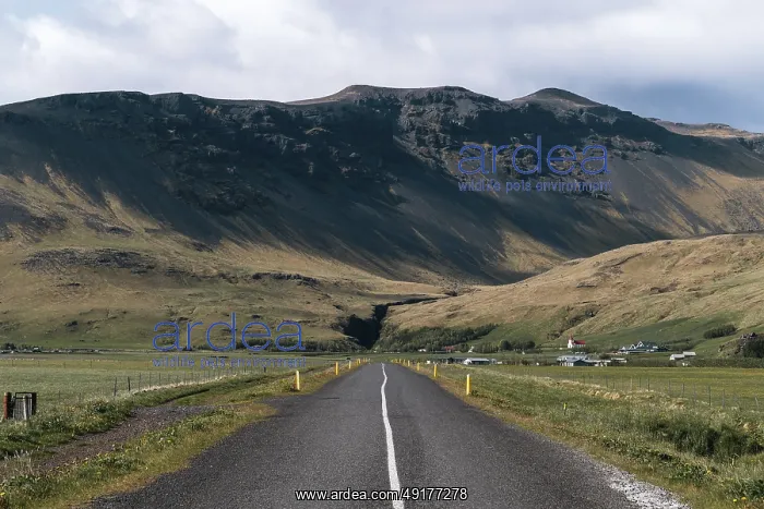 : Straight ahead into the Icelandic highlands : Straight ahead into the Icelandic highlands