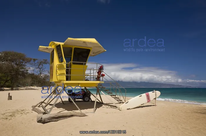 : Strand des Kanaha Beach Park, Maui, Hawaii, USA : Strand des Kanaha Beach Park, Maui, Hawaii, USA