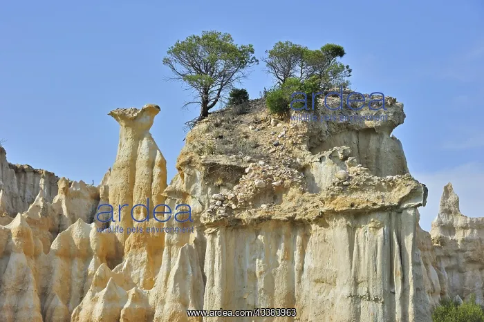 : Strange rock formations created by water erosion : Strange rock formations created by water erosion