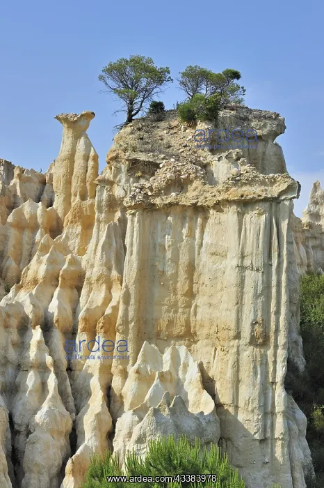 : Strange rock formations created by water erosion : Strange rock formations created by water erosion