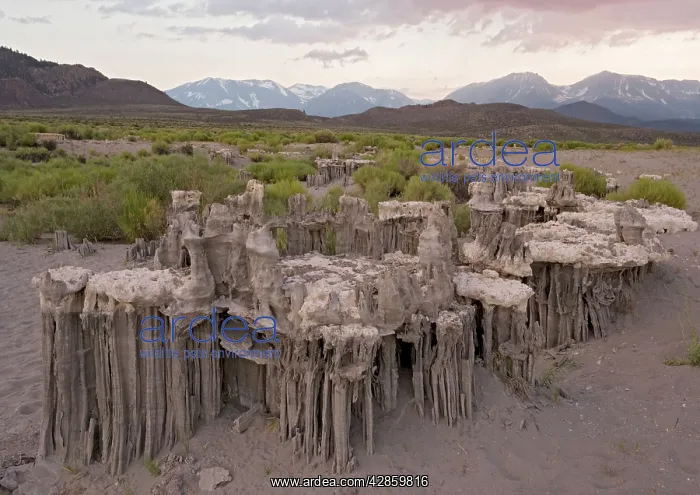 : Strangely shaped Sand Tufa Formations - above current : Strangely shaped Sand Tufa Formations - above current
