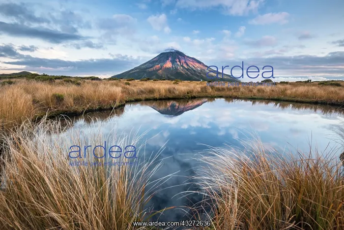 : Stratovolcano Mount Taranaki or Mount Egmont reflected : Stratovolcano Mount Taranaki or Mount Egmont reflected