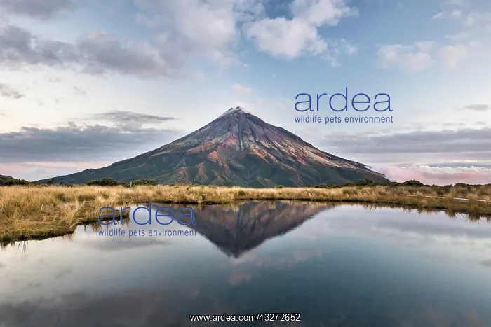  : Stratovolcano Mount Taranaki or Mount Egmont reflected