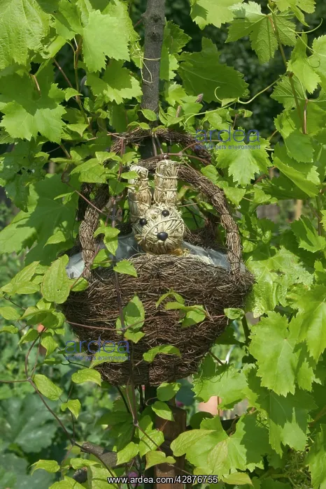  : Straw Rabbit - in basket hanging among vines