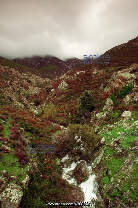  : Stream Balagne, Corsica, France