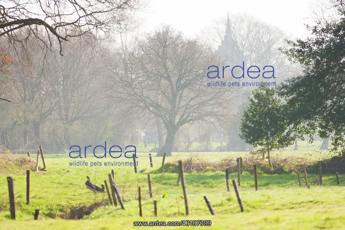 : Stream in landscape with church tower and fence poles : Stream in landscape with church tower and fence poles