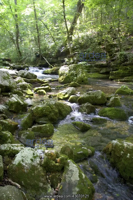  : Stream in Ouachita National Forest